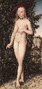 CRANACH, Lucas the Elder Venus Standing in a Landscape  fdg Spain oil painting artist